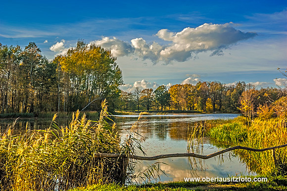 Foto von Peter Hennig PIXELWERKSTATT Herbst Laubfärbung bei Kauppa in der Oberlausitz
